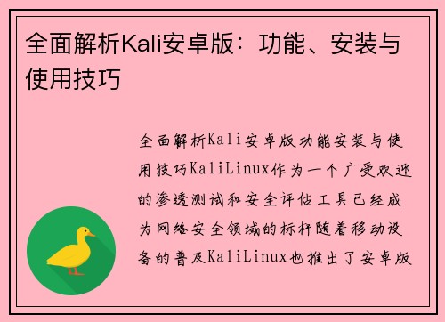 全面解析Kali安卓版：功能、安装与使用技巧